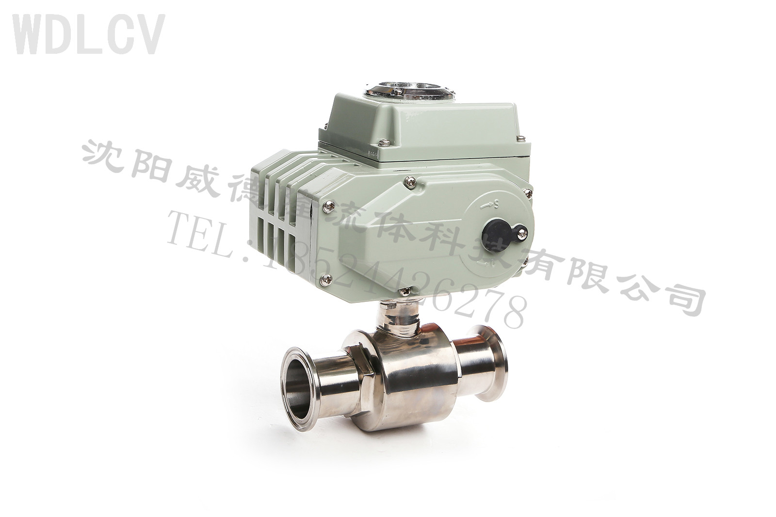 衛(wei)生級電(diàn)動球閥(fa) WDLQ981F