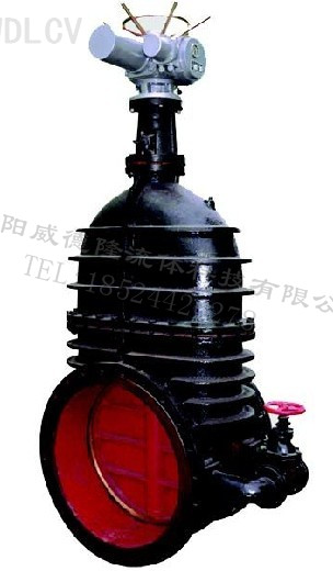 鑄鐵電(diàn)動暗杆(gǎn)閘閥 WDLZ941T-10 