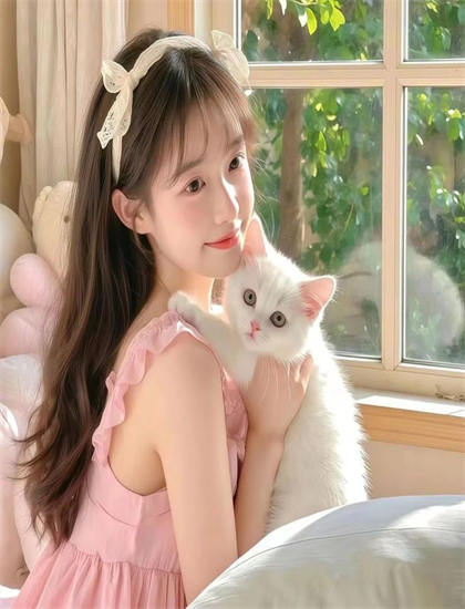 影视技术：《爸爸的木房子》的斯坦尼康 提升作品质量的技术保障 提升中国电影的国际竞争力